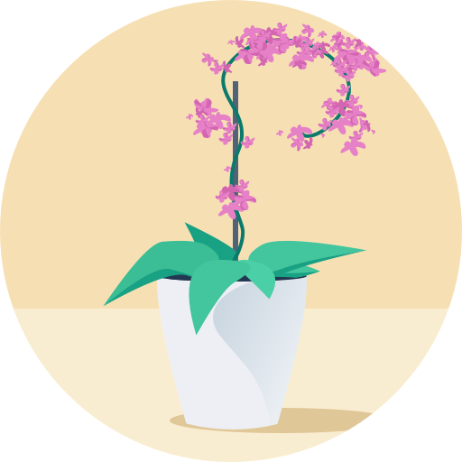 Orchid Package